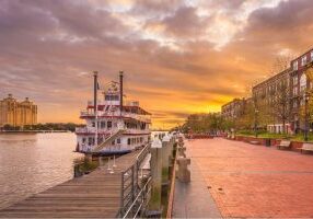 savannah